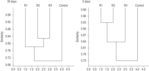 Figure 5. Cluster analysis of periphytic algae biovolume in surface roughness treatment (C = control; R 1  = low  roughness; R 2  = medium roughness; R 3  = high roughness) after 30 and 5 days colonization time.