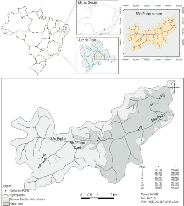 Figure 1. Map showing the sampling stations located in the rural (I, II, III, IV) and urban zones (V, VI, VII, VIII)  through which São Pedro Stream flows, in the municipality of Juiz de Fora, MG.