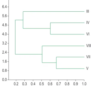 Figure 4. Cluster analysis of stations III, IV, V, VI, VII  and VIII based on the abundance of the Oligochaeta  fauna identified at the species level