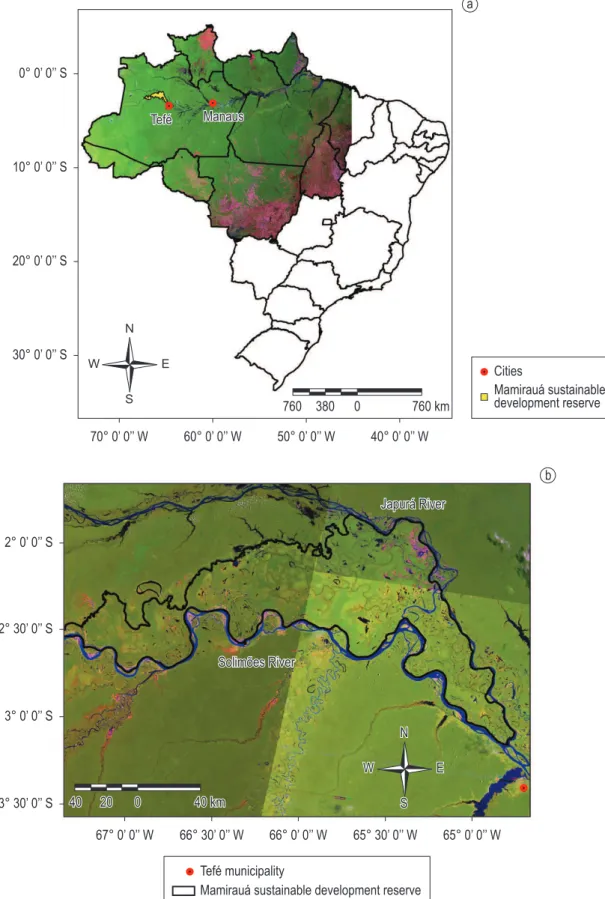 Figure 1. Study area. a) Location of study area in Brazil. Tefé and Manaus municipality and Mamirauá Sustainable  Development Reserve (MSDR) are shown; b) Complete Landsat TM image view of MSDR