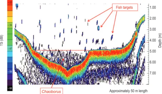 Figure 5. Echograms showing the vertical distribution of Chaoborus larvae during the day in transect performed  in Nado reservoir on 09 June 2008