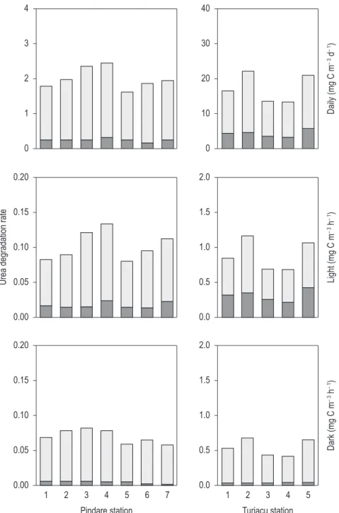 Figure 2. Distributions in degradation rates of urea (sum of rates in urea carbon incorporation into particulate mat- mat-ter and CO 2  liberation into water originating in urea carbon) at the respective stations in the Pindaré and Turiaçu  waters