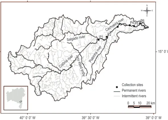 Figure 1. Hydrographic map of the Cachoeira River Basin and location of the collection sites.