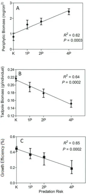 Figure  2.  Periphyton biomass (A), Tadpoles Biomass  (B) and Prey Growth Efficiency (C) along treatments K  (control), 1P (1 predator added), 2P (addition of 2  preda-tors) and 4P (addition of 4 predapreda-tors)