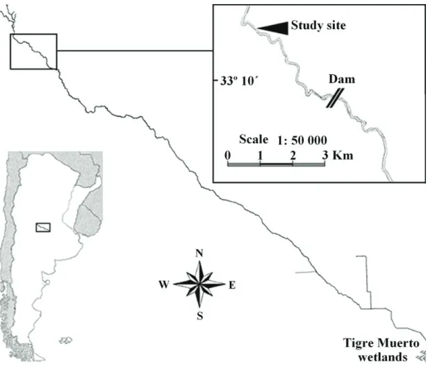 Figure 1. Study site location in Achiras stream, Córdoba province, Central Argentina.