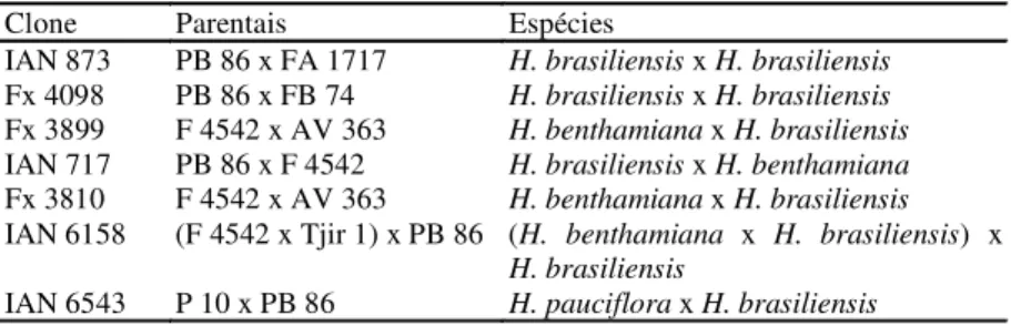 TABELA 1. Clones amazônicos, ancestralidade e espécies envolvidas  nos cru- cru-zamentos.