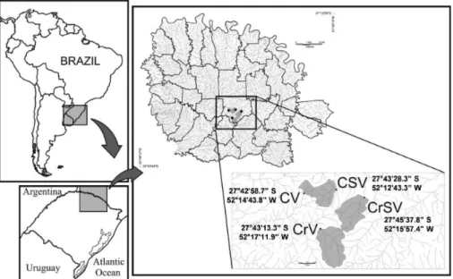 Figure 1. Map of the sampling sites. CV (riparian vegetation) and CSV (agriculture land use) at Campo River sub- sub-Basin