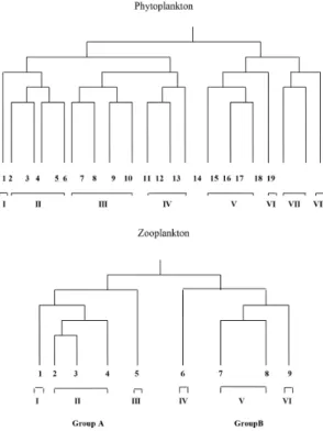 Figure 6. Diagrams of the different Nile plankton groups  generated after the application of cluster analysis.