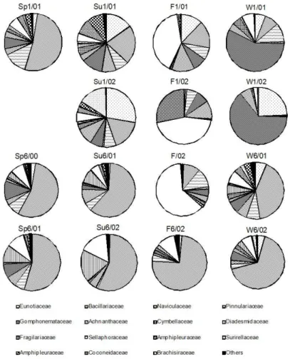 Figure 6. Temporal variation of relative abundance of the main diatom families at station 1 and station 6, correspondent  to the upper and lower stretches of the Gravataí river, RS, sampled during the period of September 2000 to August  2002