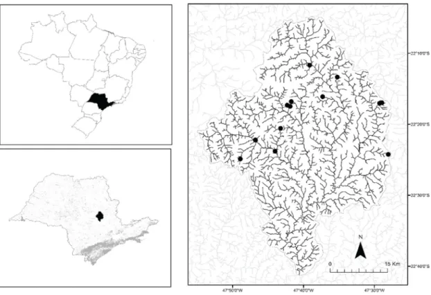 Figure 1. Sampling points of ichthyofauna in 13 headwaters distributed among four rivers: Cabeça, Corumbataí,  Passa Cinco e Ribeirão Claro, in the Rio Corumbataí River Basin, São Paulo State, southeastern Brazil