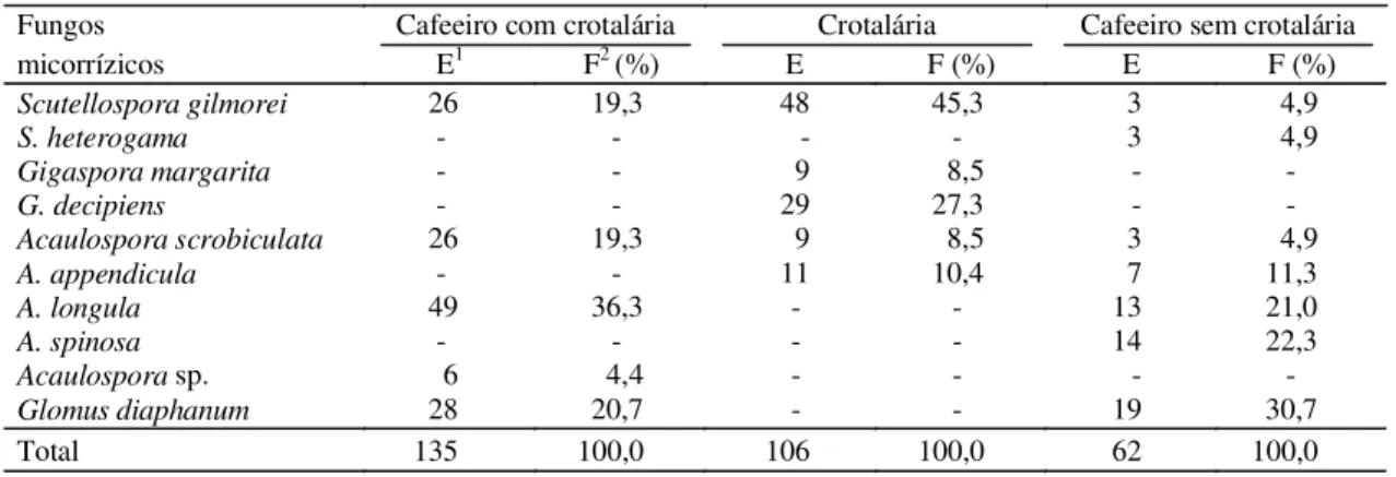 TABELA 2. Ocorrência, esporulação no solo (E) e freqüência de ocorrência (F) de fungos micorrízicos arbusculares em solo cultivado com cafeeiro (Coffea arabica L.) intercalado ou não  com crotalária (Crotalaria breviflora) cultivada na entrelinha como adub