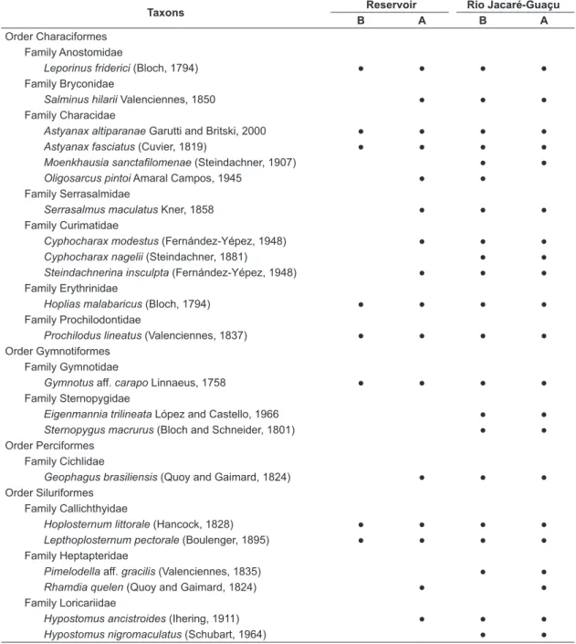 Table 2. Taxonomic list of the fish fauna and the occurrence of species before (B) and after (A) the dredging and  macrophyte management.