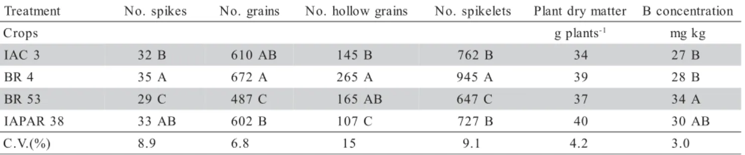 Table 1 - Average effect of boron rate among triticale and wheat crops for number of spikes, grains, hollow grains, spikelets, plant dry matter and boron concentration in flag leaf
