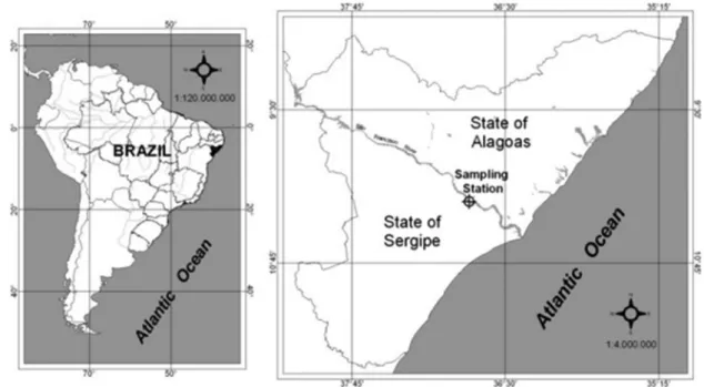 Figure 2. Location of the study area and sampling stations in the lower sector of the São Francisco River.