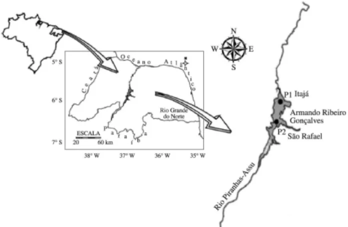 Figure 1. Geographical location of Armando Ribeiro Gonçalves Reservoir, Northeast Brazil (P1: Itajá and P2: São Rafael).