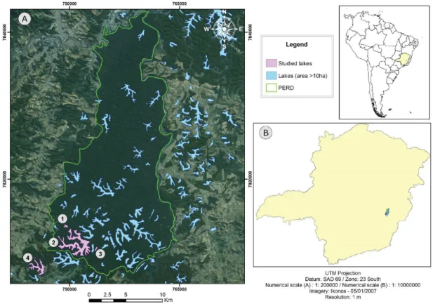 Figure 1. The spatial location of study area. (A) The Rio Doce State Park (PERD) and its surroundings