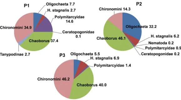 Figure 5. Biotic indices by sampling site (P1 - Taquacetuba, P2 - Alvarenga and P3 - Biguás Island) in Billings  Reservoir (Brazil, São Paulo State), represented by box-and-whiskers plots, where the lower and upper limits of the box  correspond to the 25th