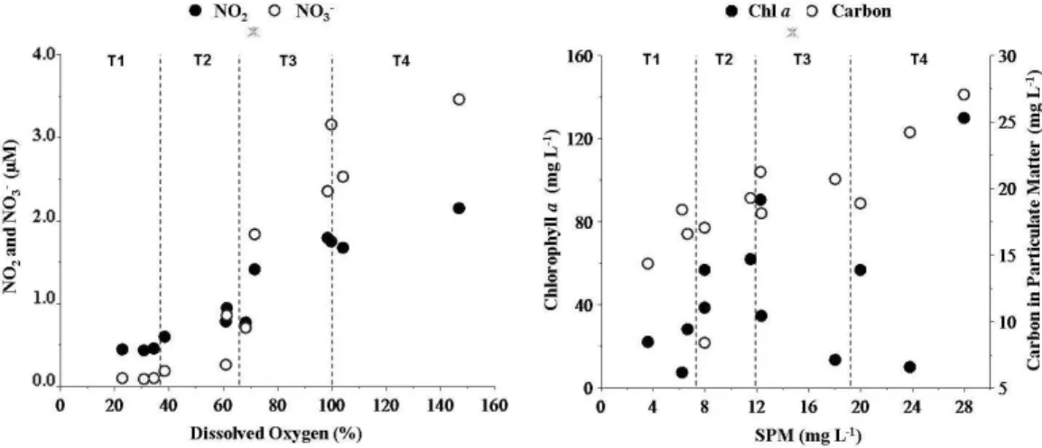 Figure 4. Relationship of dissolved inorganic nutrient: nitrite (NO 2 ), nitrate (NO 3 - ) with dissolved oxygen and  the relationship between chlorophyll a (Chl-a), carbon content in particulate matter and Suspended Particulate  Matter (SPM), at Iguaçu Ri