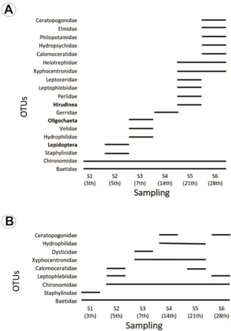 Figure 3. Succession and colonization of benthic macroinvertebrates adding the two types of substrates (brick and  leaf pack) by season [rainy (A) and dry (B)] in affluent of ‘Ribeirão do Panga’, Uberlândia, Minas Gerais, Brazil