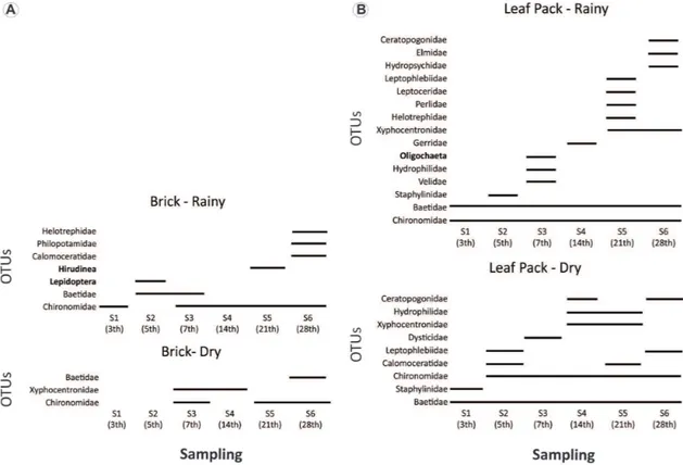 Figure 4. Succession and colonization of benthic macroinvertebrates for each substrate [brick (A) and leaf pack (B)] 