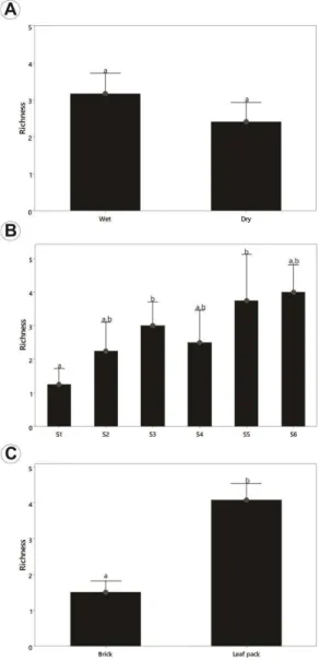 Figure 6. Changes in abundance of benthic macroin- macroin-vertebrates among sampling (successional time) for each  substrate (brick and leaf pack).