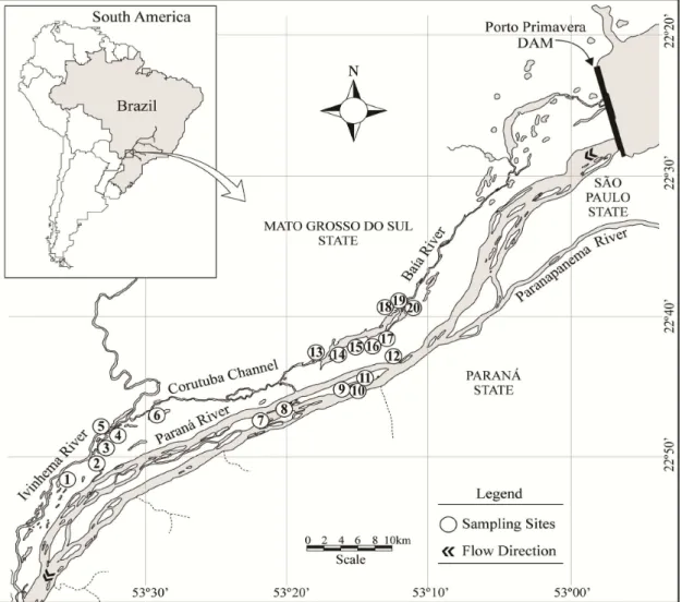 Figure 1. Map of the Upper Paraná River floodplain showing the 20 sampling sites. 1- Ventura lake; 2- Boca do Ipoitã  lake; 3- Patos lake; 4- Capivara lake; 5- Joaninha lake; 6- Sumida lake; 7- Pombas lake; 8- Osmar lake; 9- Leopoldo  lake; 10- Clara lake;