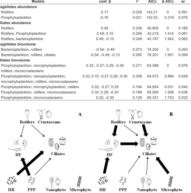 Figure 2. Schematic representation of the best models selected by the Akaike criterion to explain the variation  in abundance (A) and biovolume (B) of protists
