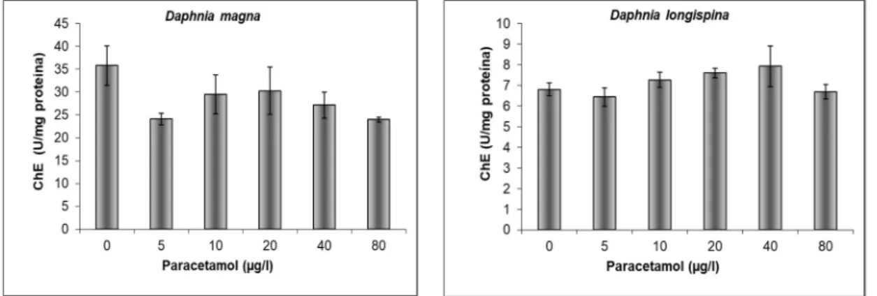 Fig. 8. Actividade da acetilcolinesterase medida em D. magna e D. longispina após exposição  aguda (48h) ao paracetamol, U=nmol/min, n= 5, barras de erro correspondem a erro padrão