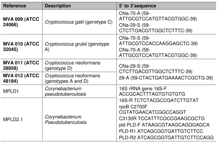 Table  1.  Sequences of oligonucleotides employed to characterized the serotype of  Cryptococcus neoformans  and  C