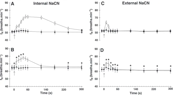 Fig. 5. Changes in breathing frequency (f R - breaths min −1 ) of Oreochromis niloticus following internal injections of saline (0.5 ml), NaCN (0.5 ml of 750 μg ml −1 ) and external injections of H 2 O (1.0 ml) and NaCN (1.0 ml of 750 μg ml −1 )