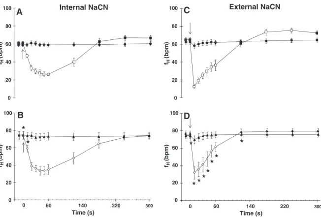 Fig. 7. Changes in heart rate (f H - bpm) of Oreochromis niloticus following internal injections of saline (●, ▲) NaCN (■, ♦), and external injections of H 2 O (●, ▲) and NaCN (■, ♦).