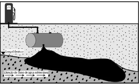 Figura 6. Pluma de contaminação (adaptado de EPA, 2015). 