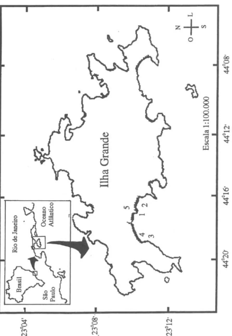 Figura I. Ilha Grande. Mapa da região estudada.  (I)  Praia  do Sul. (2) Praia do Leste