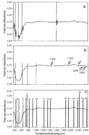 FIG . 2. Esquematização da metodologia aplicada na avaliação das curvas espectrais: a)  compri-mentos de onda onde foram avaliadas as angulações; b) faixas espectrais e bandas de absorção onde foram avaliadas as  intensida-des de absorção; c) comprimentos 