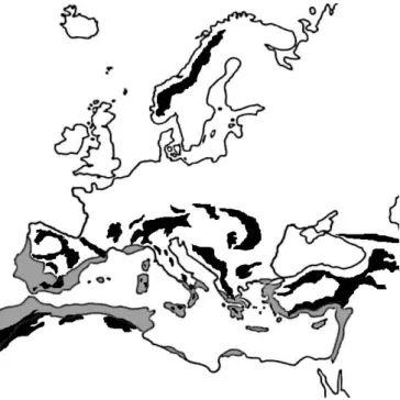 Figura 2. Distribuição das principais áreas montanhosas da região do Paleártico Ocidental (a  preto) e as regiões com clima Mediterrâneo quente (a cinzento) (Adaptado de  Aschmann 1971, cit