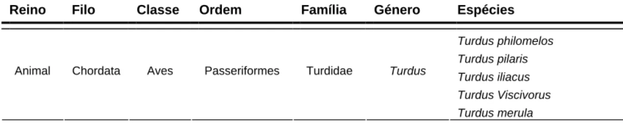 Tabela 1: Taxonomia dos tordos ocorrentes em Portugal. 