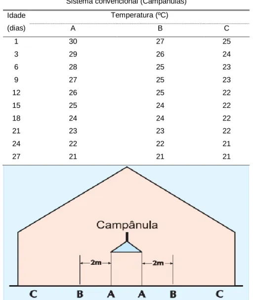 Tabela 3-1 – Temperatura ideal utilizando o sistema convencional de campânulas num pavilhão  de crescimento (Aviagen,2008)