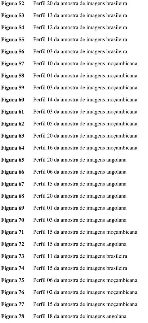 Figura 52  Perfil 20 da amostra de imagens brasileira    217  Figura 53  Perfil 13 da amostra de imagens brasileira  217  Figura 54  Perfil 12 da amostra de imagens brasileira  219  Figura 55  Perfil 14 da amostra de imagens brasileira  219  Figura 56  Per