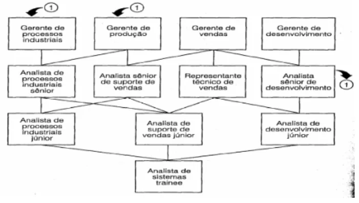 Figura 2 – Estrutura em rede 