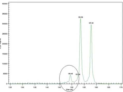 Fig. 2. Chimerism studies.