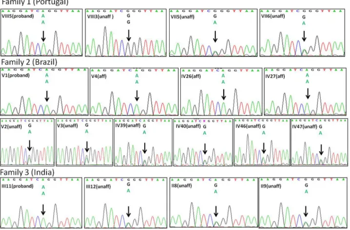 Figure  3.    Phylogenetic  comparison  of  GJA1  across  species.    Position  of  the  mutation  within  a  highly  conserved  region indicated with arrow.