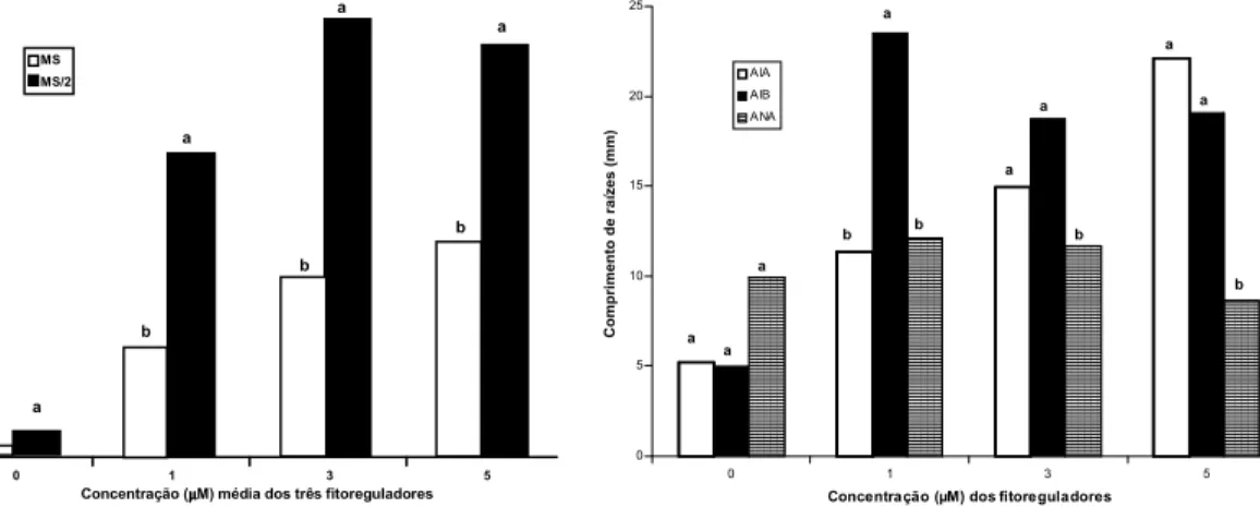 FIG. 2. Número médio de raízes nas brotações da cv.