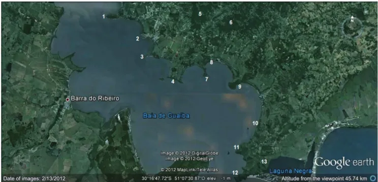 Figure 1. Location of the study area and main hills and patches of forest that compose the landscape on the edge of Guaíba Lake (Google Earth 2012)