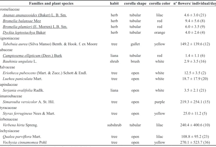 Table 1.  Characteristics of habit, shape and corolla color, as well as mean number (± standard deviation) of open flowers per individual per day of ornithophilous  (underlined) and non-ornithophilous species visited by hummingbirds in the Private Reserve 