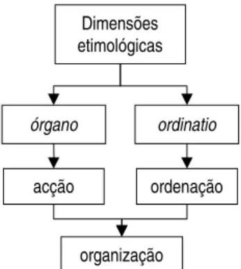 Figura 1: Síntese etimológica da palavra organização 