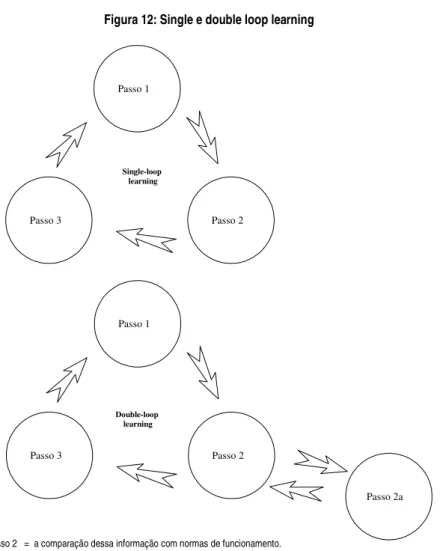 Figura 12: Single e double loop learning 