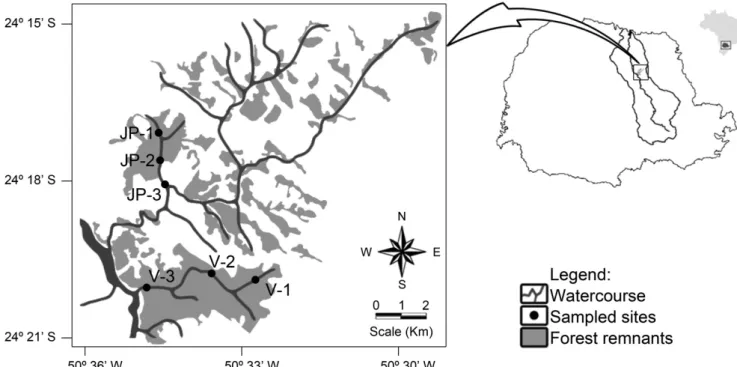 Figure 1. Sampled segments in the Varanal (V) and João Pinheiro streams (JP), conservation status of forest remnants of Atlantic Rain Forest biome and the  location of Tibagi river basin in the Paraná State, Brazil