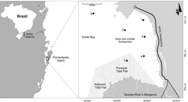 Figure 1. Map of South Bay, Florianópolis Island, Santa Catarina State, Brazil. Sampling locations numbered from 1 to 6
