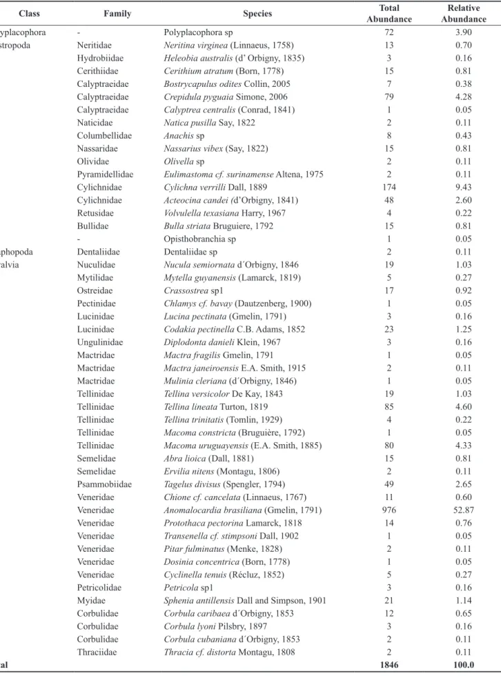 Table 1.  Taxonomic list with respective total and relative abundance of phylum Mollusca from South Bay - Florianópolis Island in surveys between 2002 and 2008.