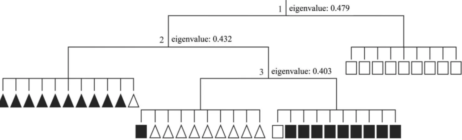 Figure 3. TWINSPAN classification of the 40 plots sampled in Cerrado sensu stricto sites on two types of substrate in Tocantins State, Brazil